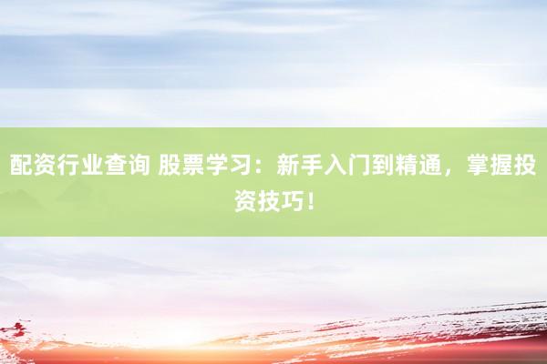 配资行业查询 股票学习：新手入门到精通，掌握投资技巧！
