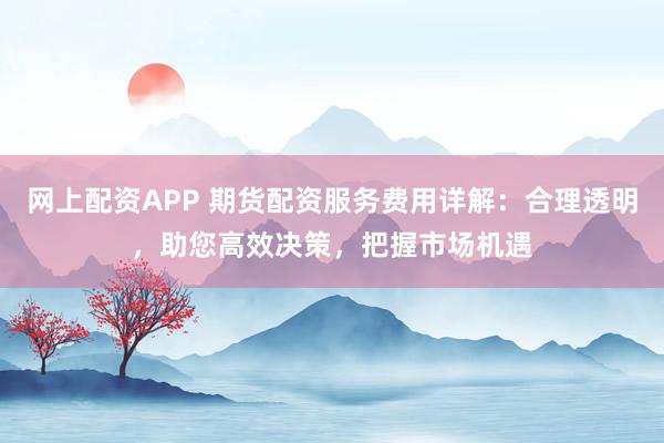 网上配资APP 期货配资服务费用详解：合理透明，助您高效决策，把握市场机遇