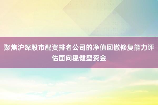聚焦沪深股市配资排名公司的净值回撤修复能力评估面向稳健型资金