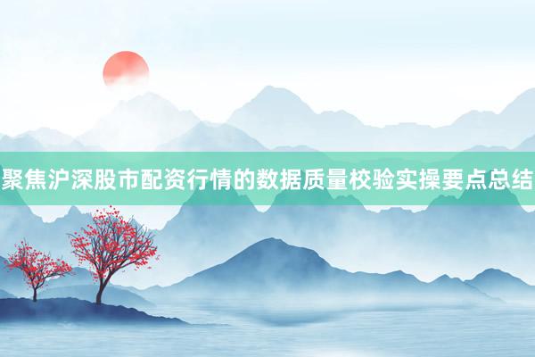 聚焦沪深股市配资行情的数据质量校验实操要点总结
