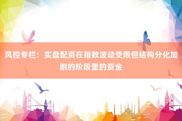 风控专栏：实盘配资在指数波动受限但结构分化加剧的阶段里的资金