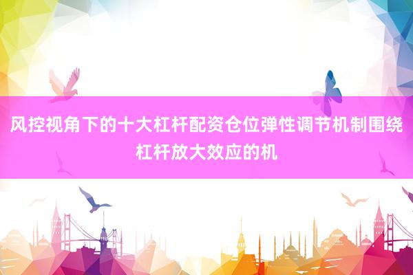 风控视角下的十大杠杆配资仓位弹性调节机制围绕杠杆放大效应的机