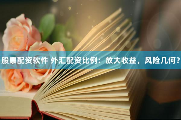 股票配资软件 外汇配资比例：放大收益，风险几何？